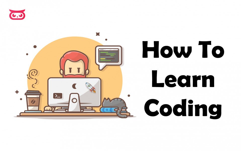 How To Learn Coding For Beginners | How To Code | Which Language Should You Use